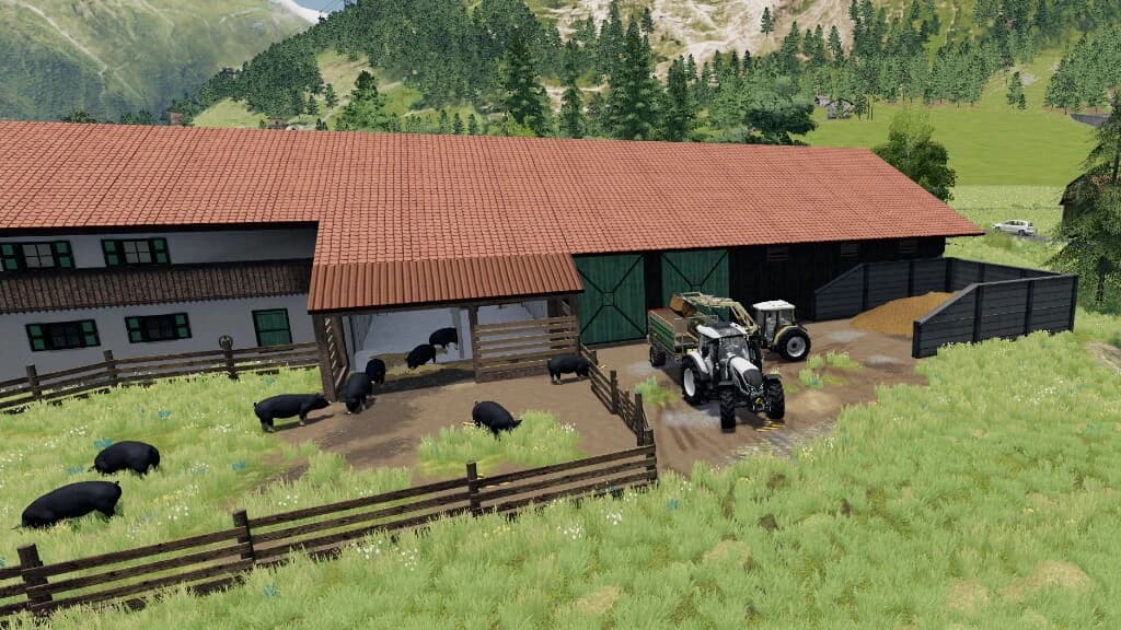 FARMHOUSE-BUCHWEISER 2