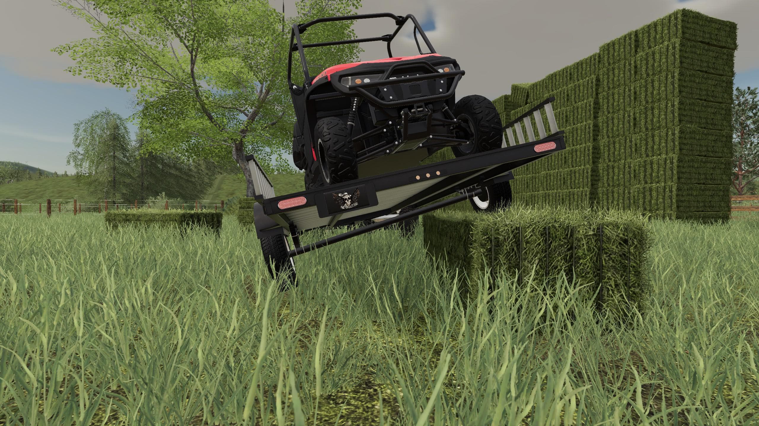 FEATHERLITE TRAILER 3