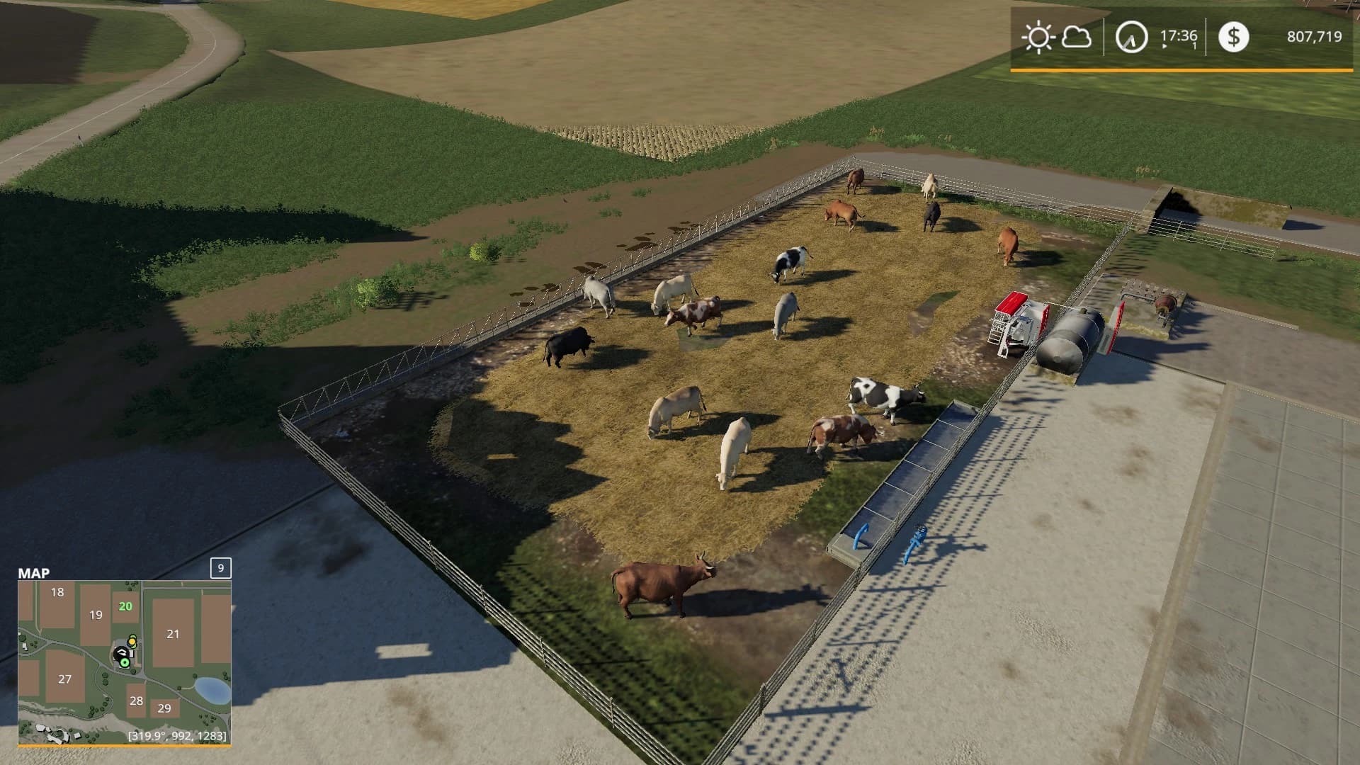 FEEDLOT FOR COWS 2