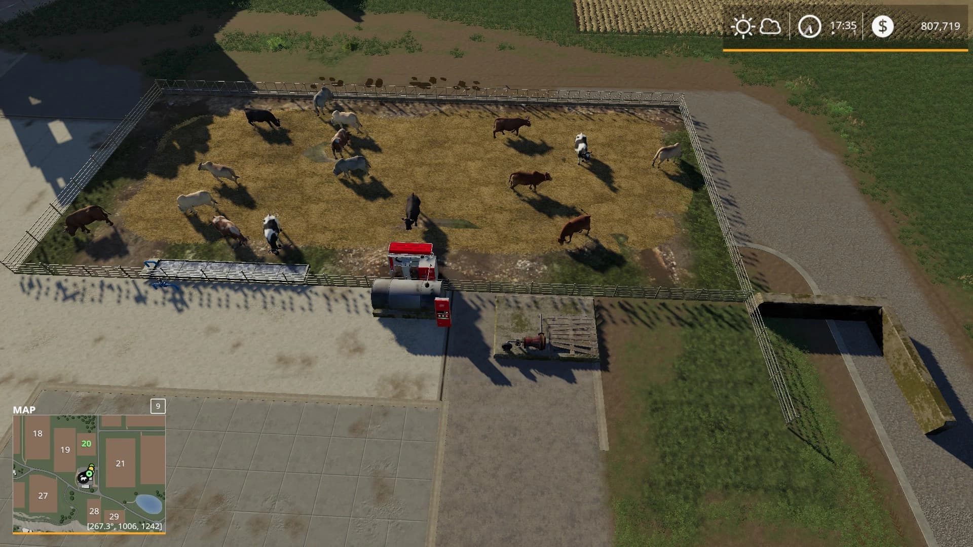 FEEDLOT FOR COWS