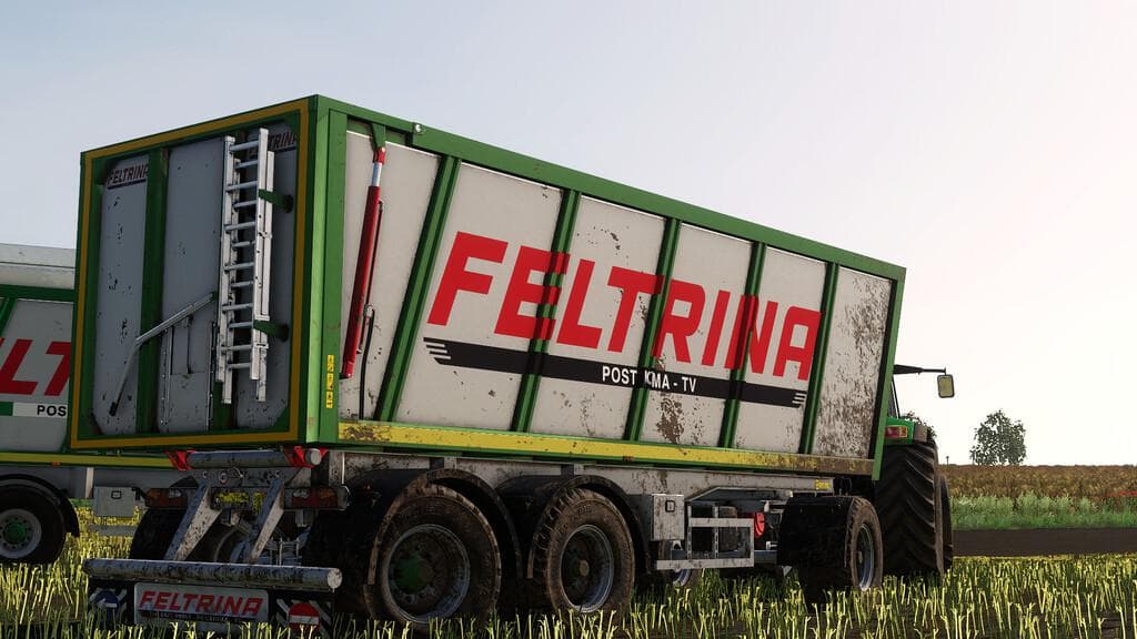 FELTRINA 3