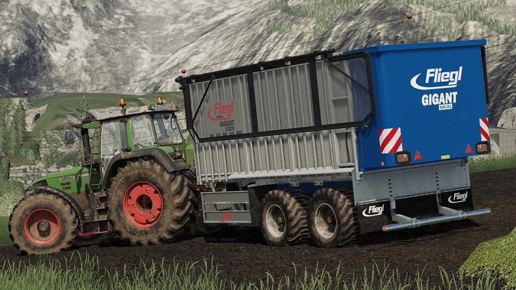 FLIEGL ASW 261 3