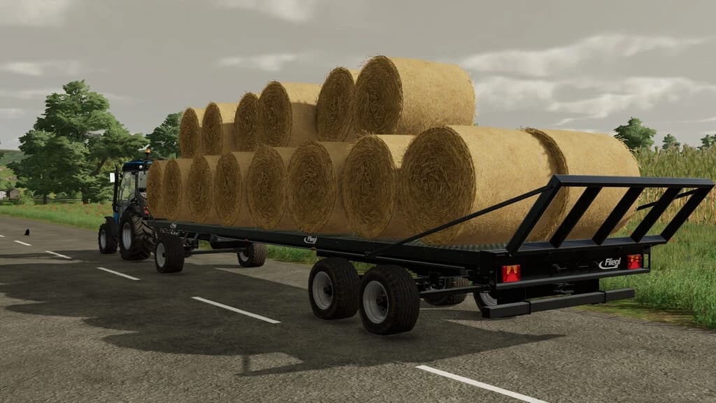 FLIEGL DPW 180 2