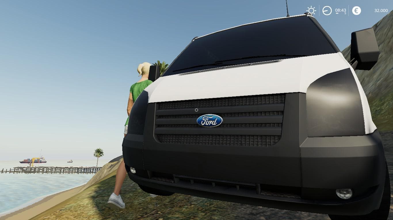 FORD TRANSIT 2010
