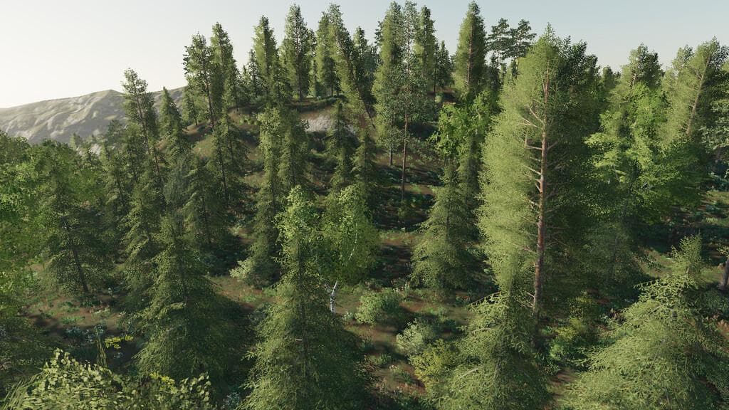 FOREST AND SAWMILL SOUNDS (PREFAB) 2