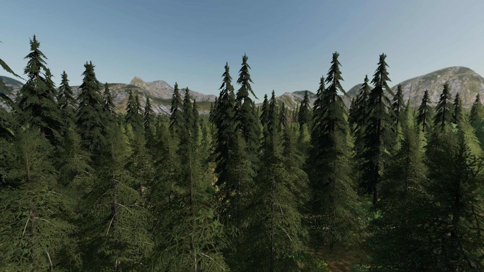 FOREST VALLEY