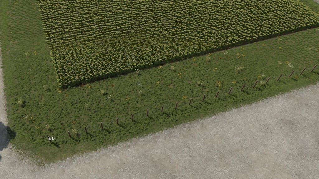 FREE FENCES AND BUSHES 2