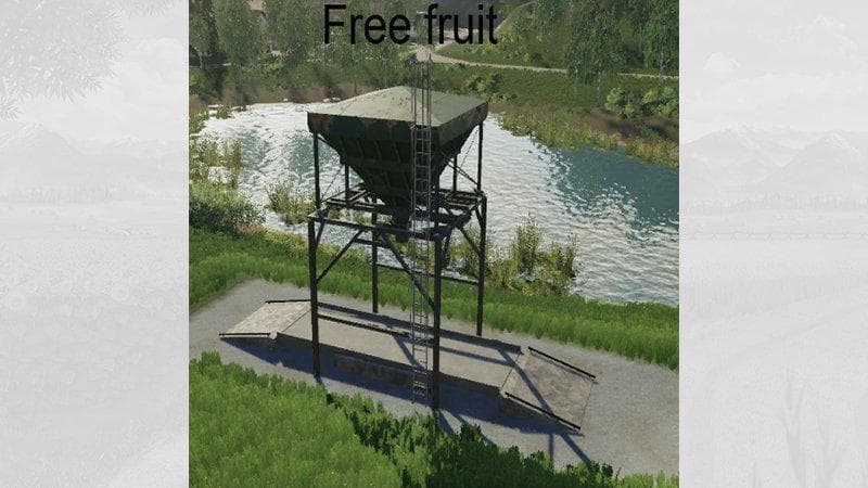 FREE FRUIT