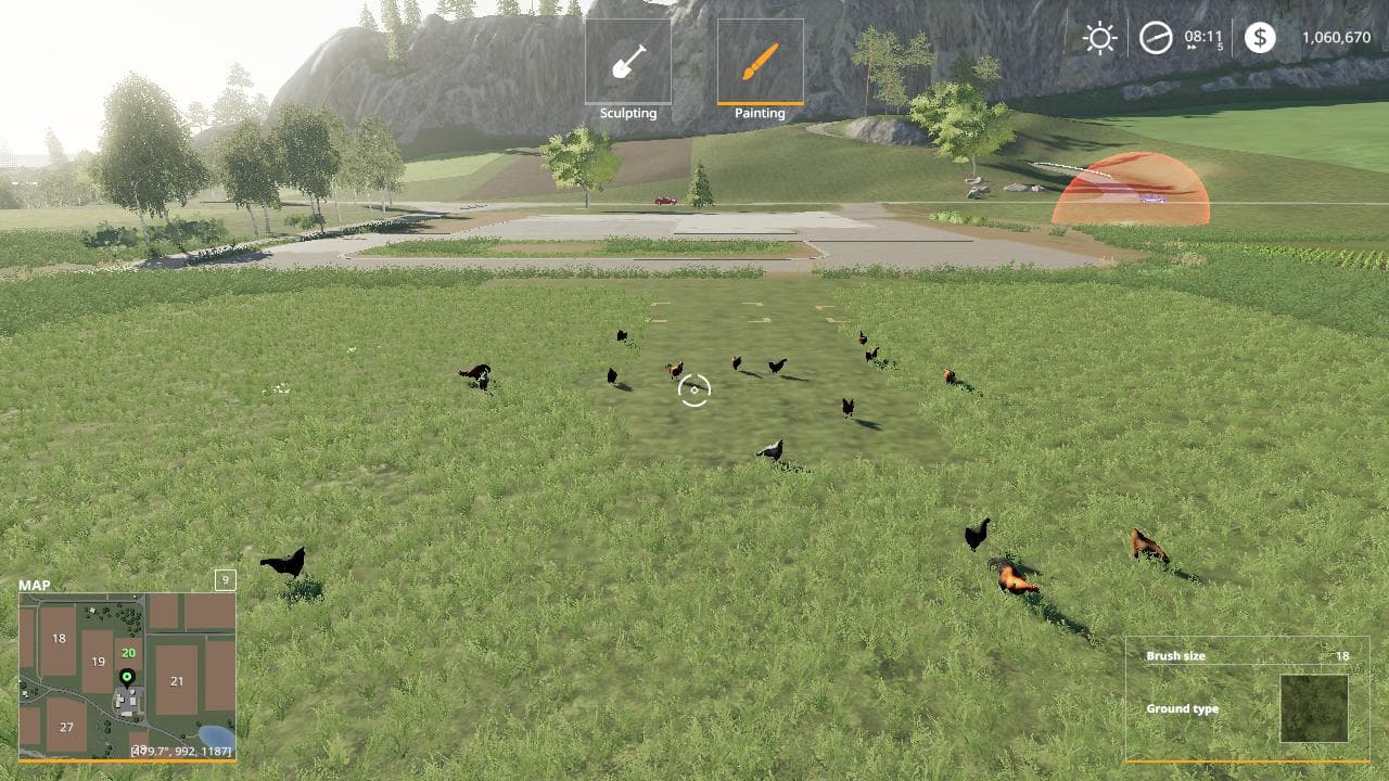 FREE RANGE CHICKENS 3