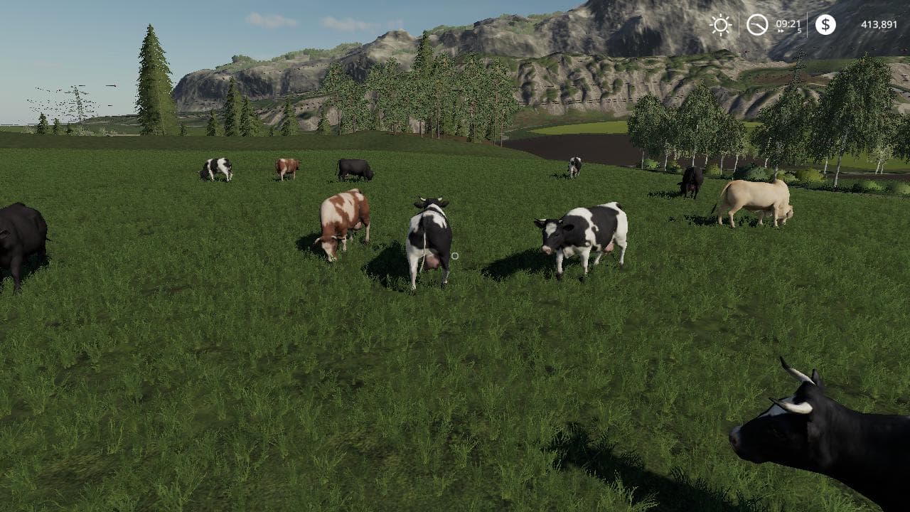 FREE RANGE COWS BETA 2