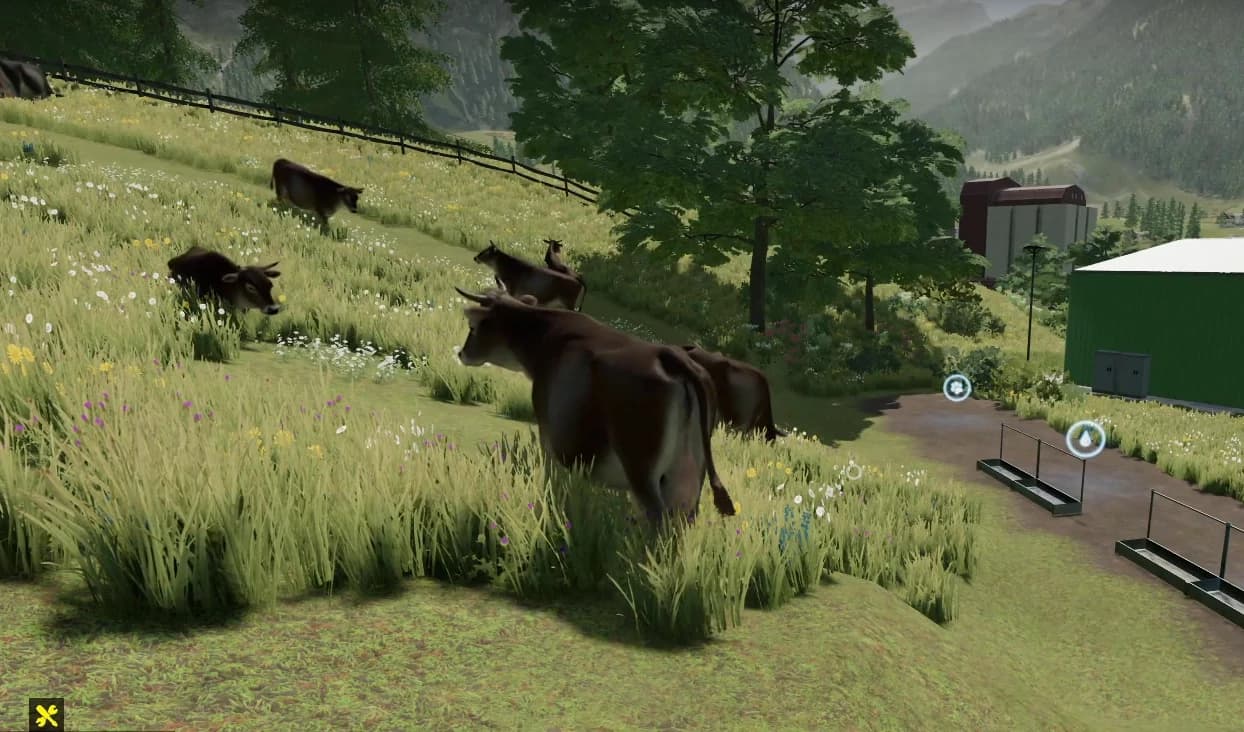 FREE RANGE COWS