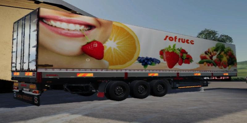 FS19 ROAD TRAILER SOFRUCE 2