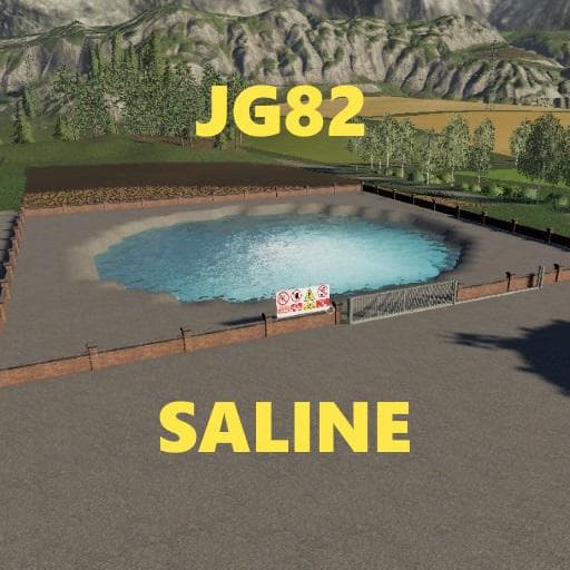 FS19 Saline