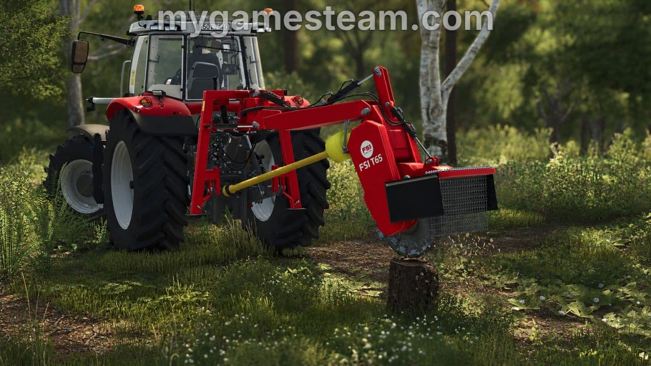 FSI T65