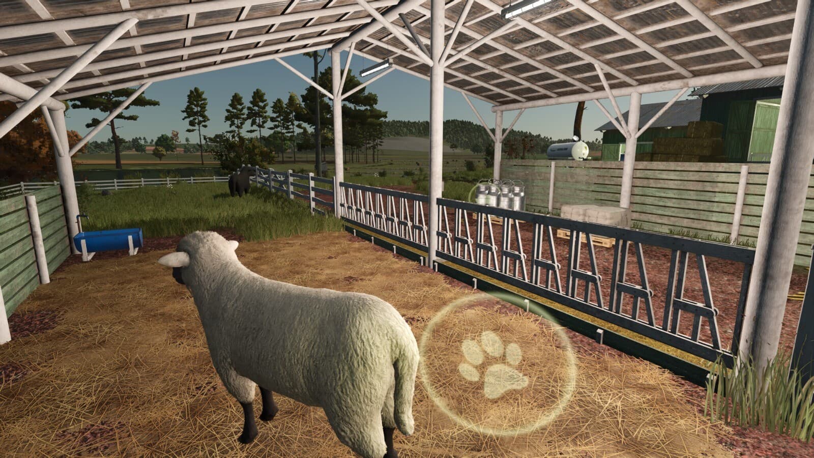 Fenceless Sheep Pasture 3
