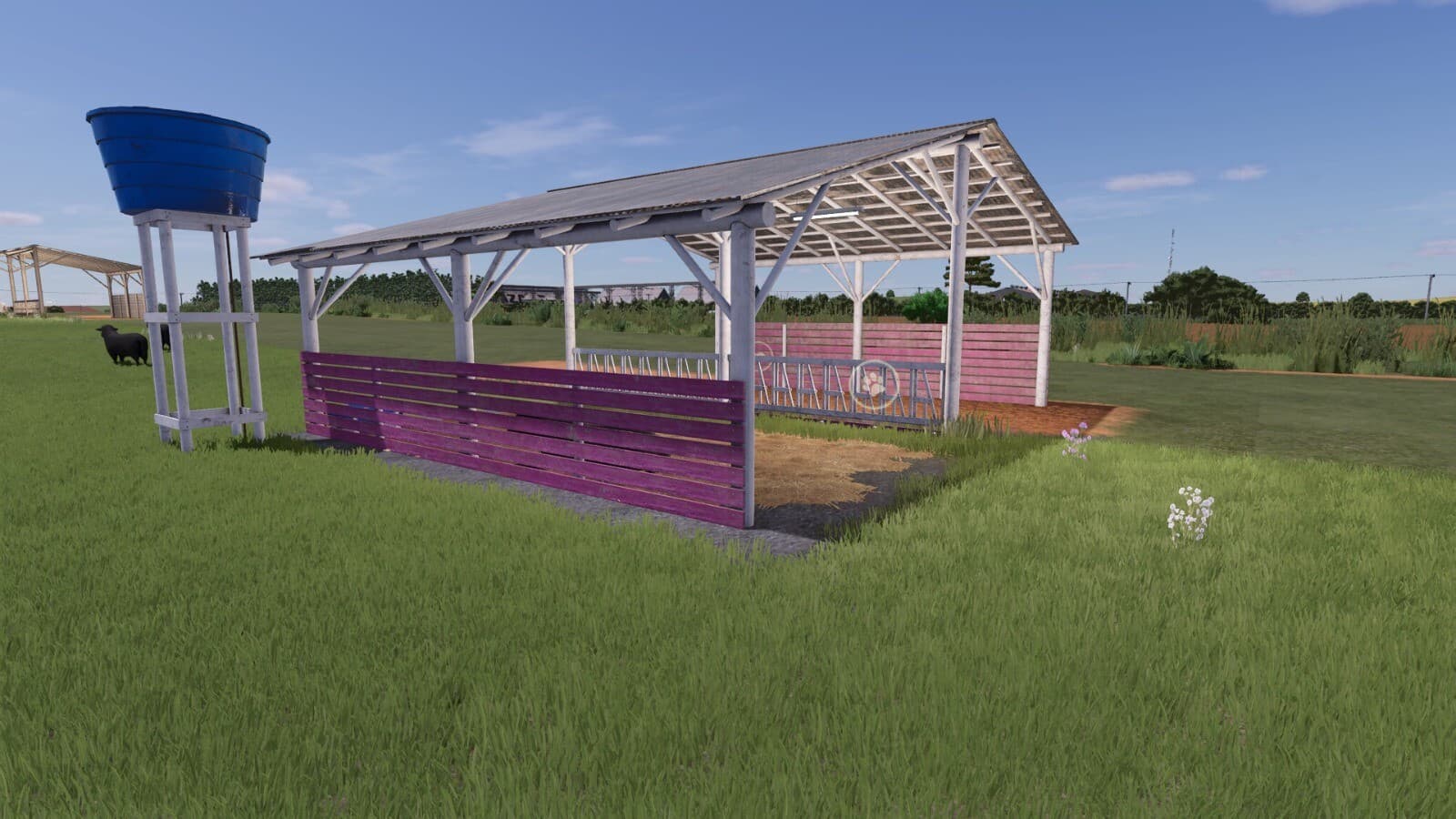 Fenceless Sheep Pasture 2
