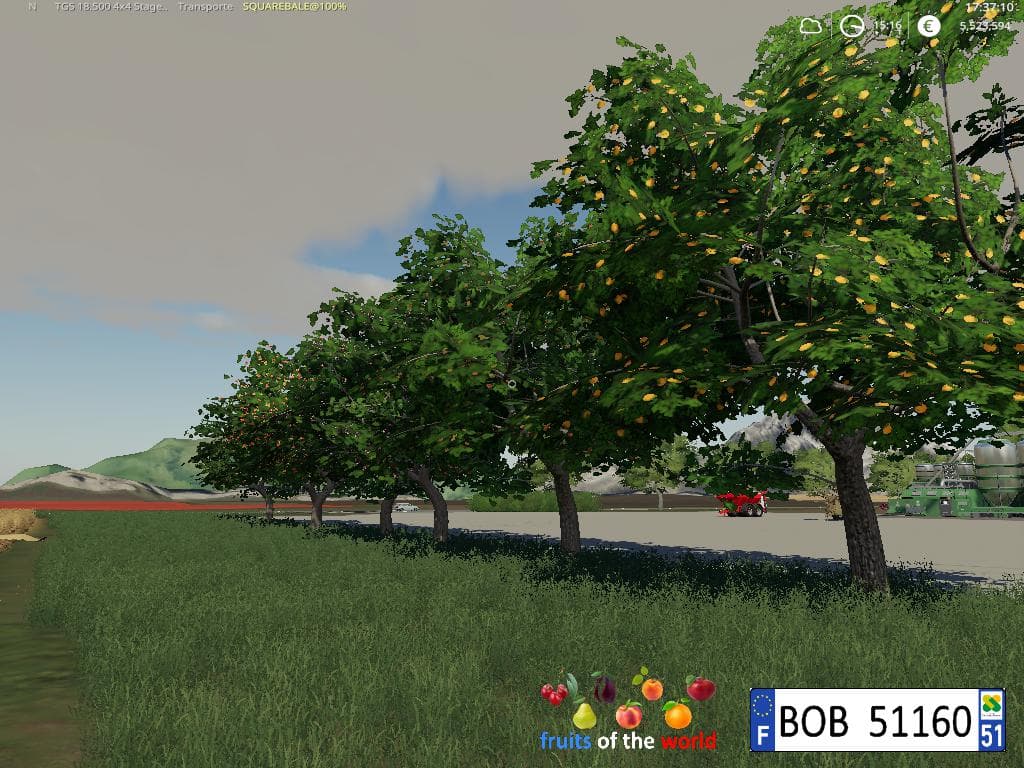 Fruits Trees By BOB51160 4