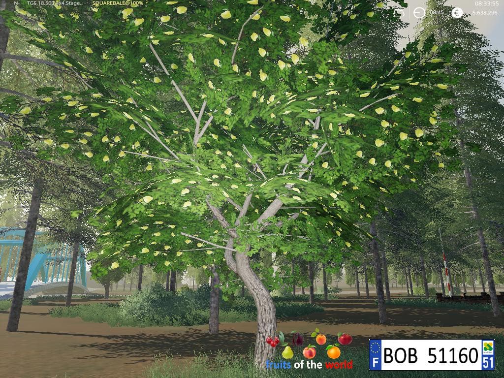 Fruits Trees By BOB51160