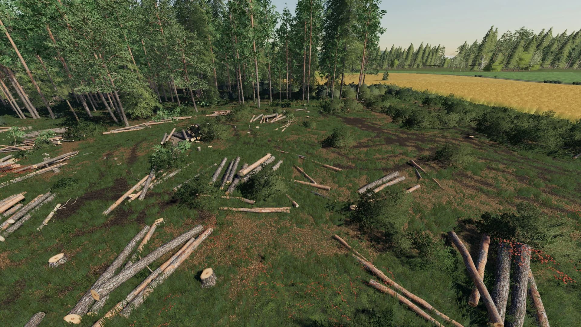 GEISELSBERG FORESTRY EDITION 5