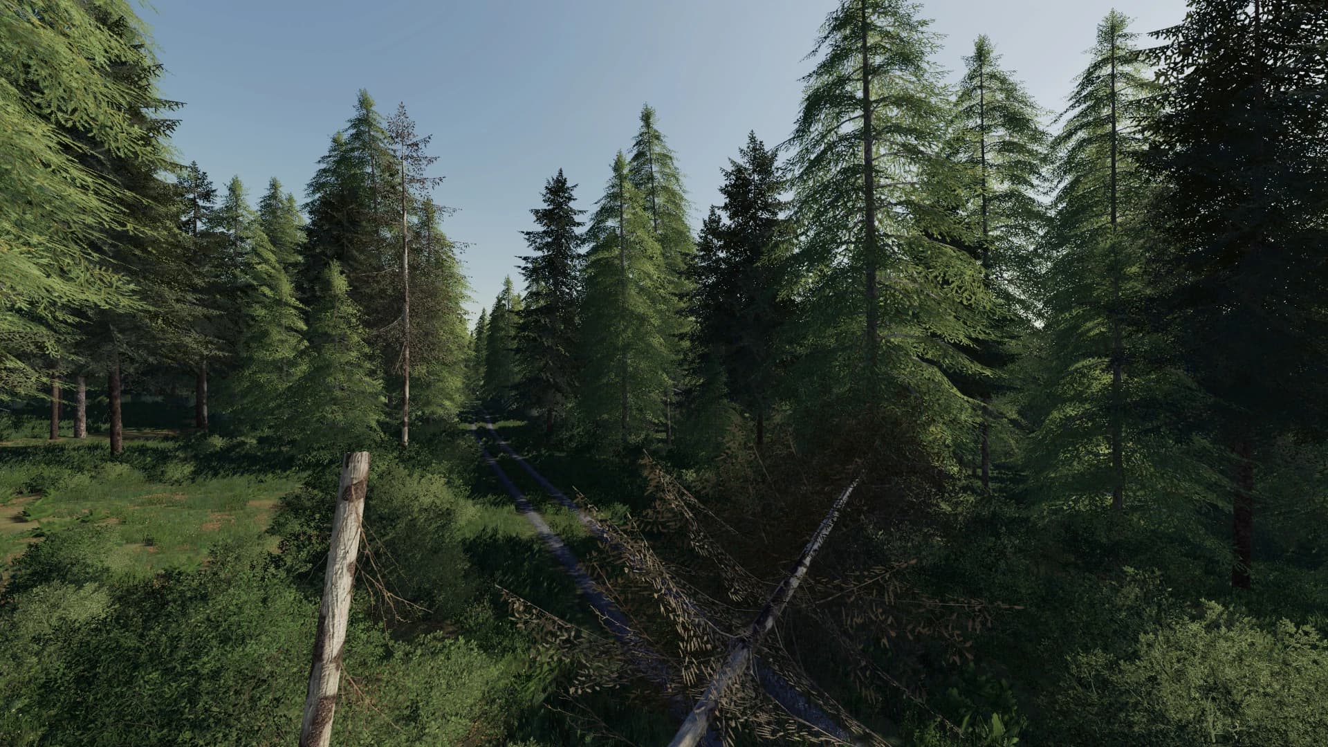 GEISELSBERG FORESTRY EDITION