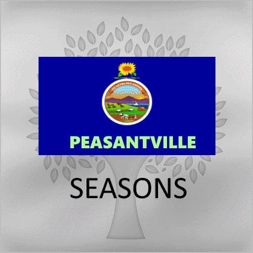 GEO PEASANTVILLE 2