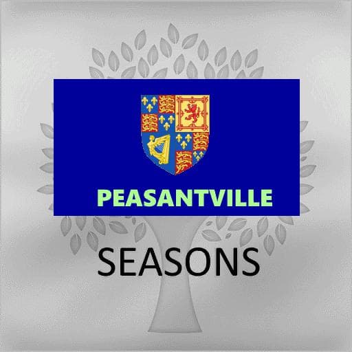 GEO PEASANTVILLE