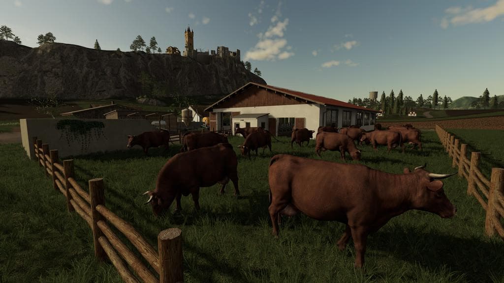 GERMAN COW BARN 3