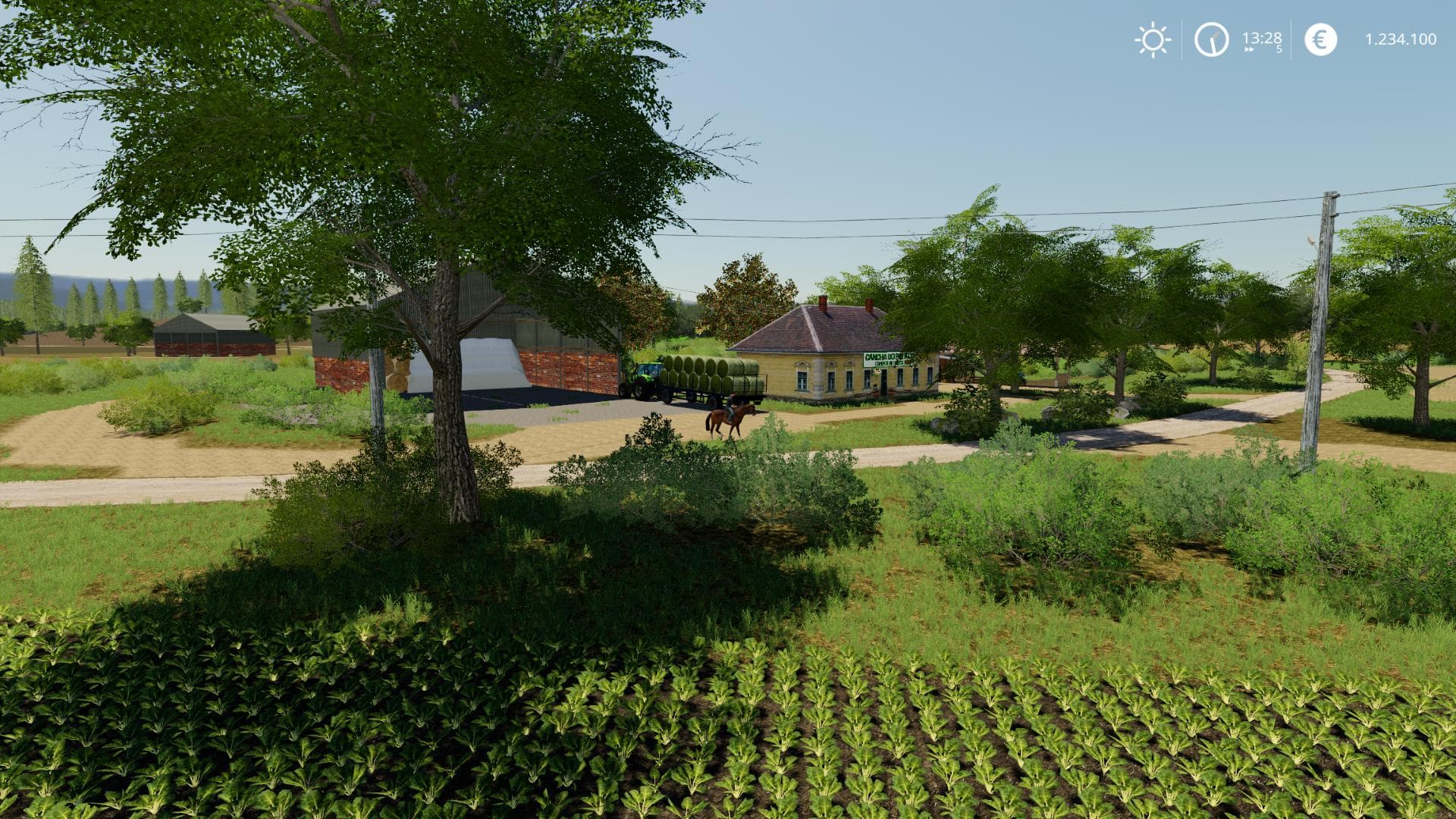 GRANJA GUARA 5