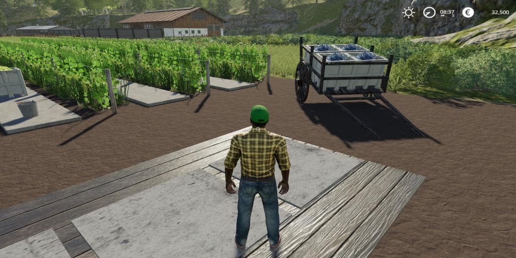 GRAPE PRODUCTION FINAL EXTENDED 3