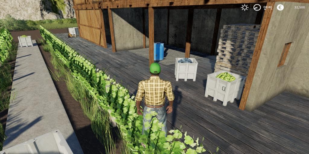 GRAPE PRODUCTION FINAL EXTENDED