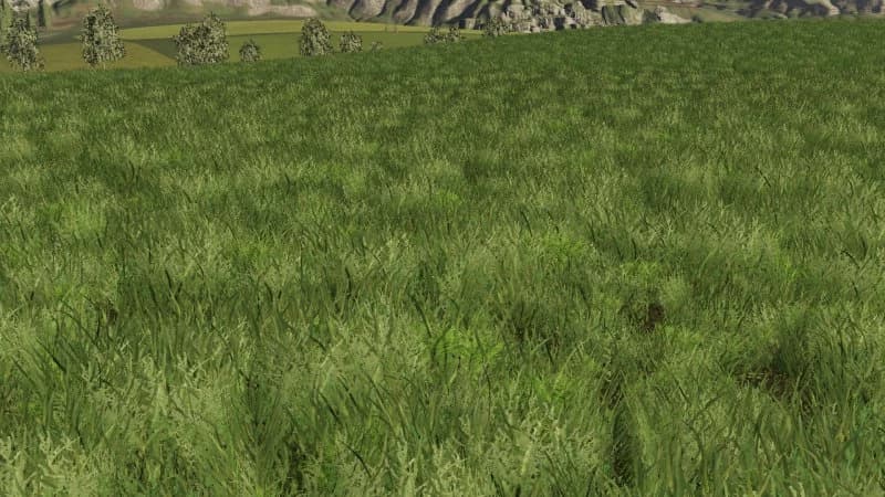 GRASS TEXTURE FOR FS19 3