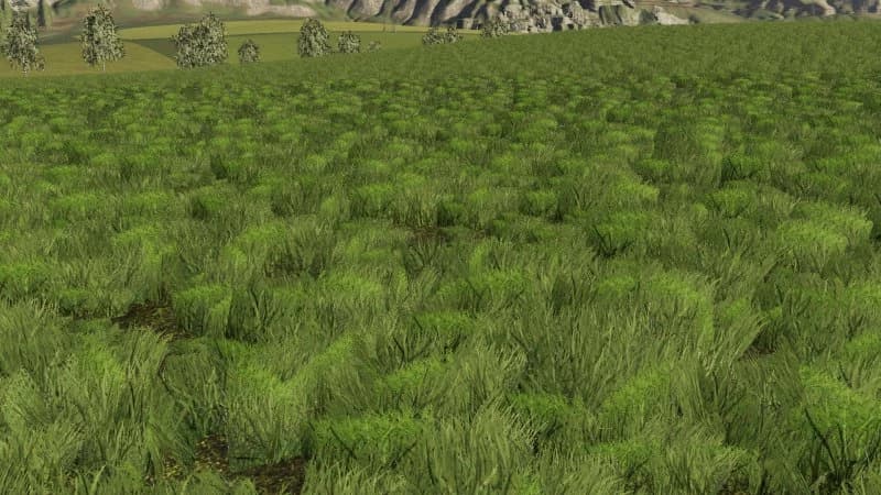 GRASS TEXTURE FOR FS19 2