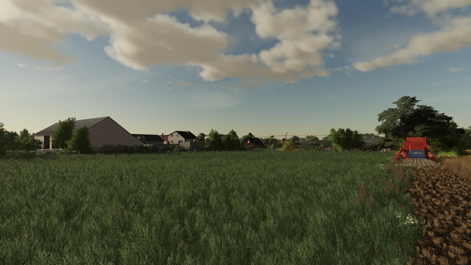 GRASS TEXTURE 2