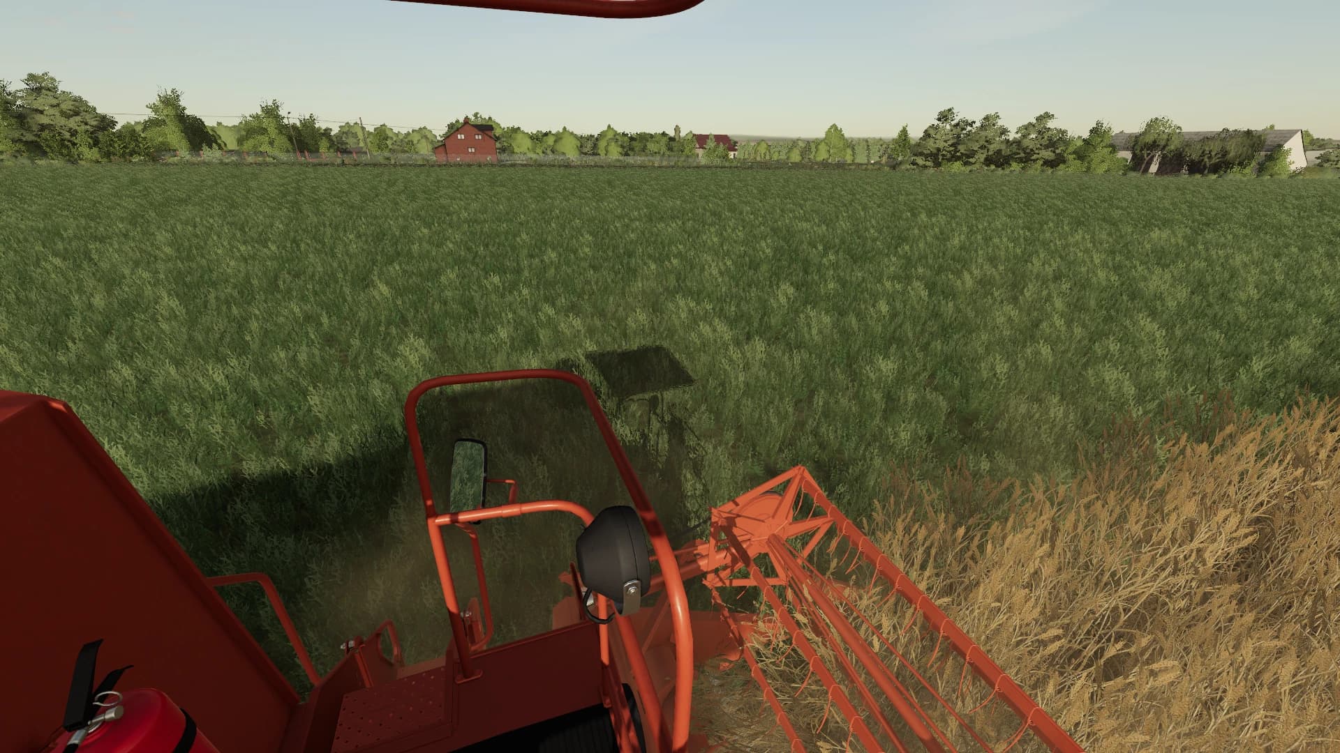 GRASS TEXTURE