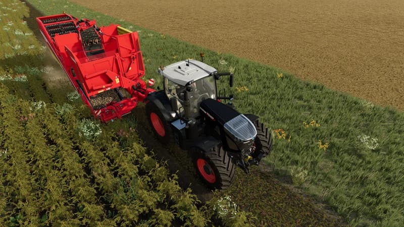GRIMME EVO 290 3