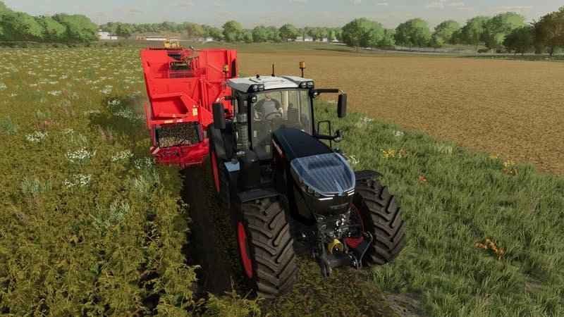 GRIMME EVO 290