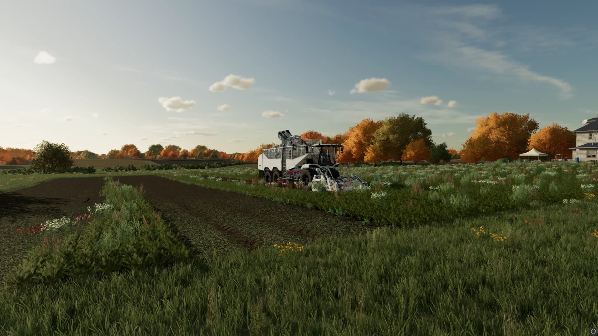 GRIMME REXOR 6300+ 5