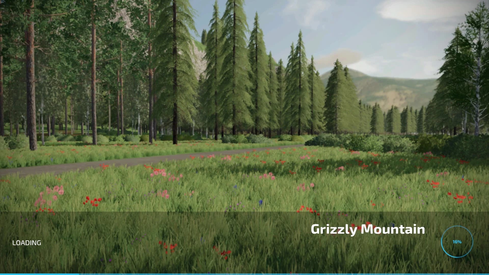 GRIZZLY MOUNTAIN 2