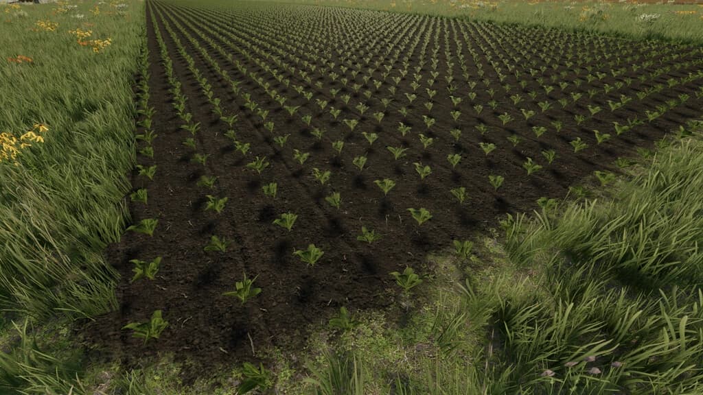 GROW NOW 2