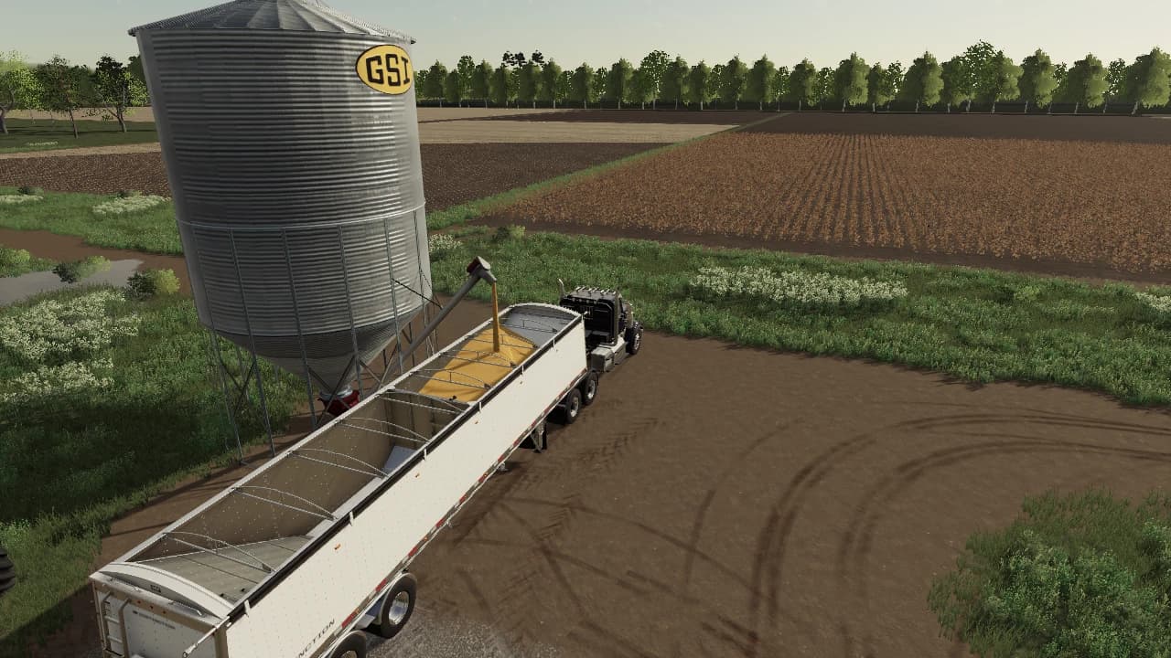 GSI GRAIN STORAGE SILO (GTX SCRIPT VERSION) 4