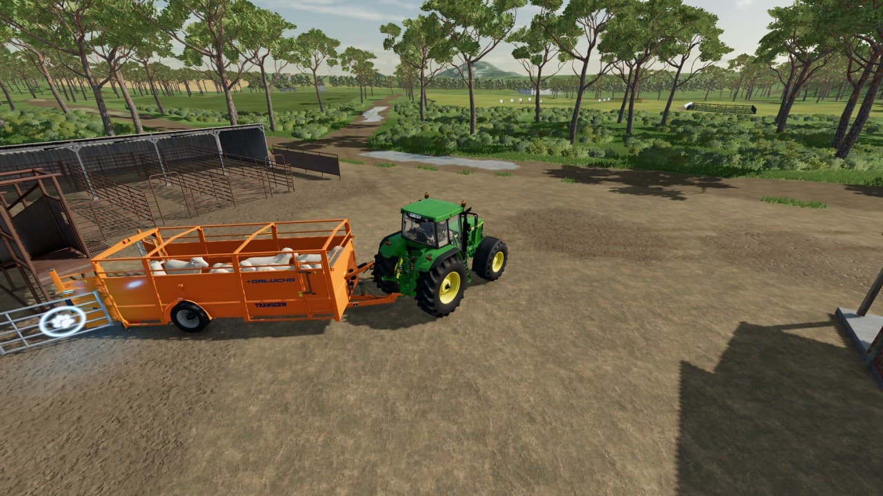 Galucho Transcow 2