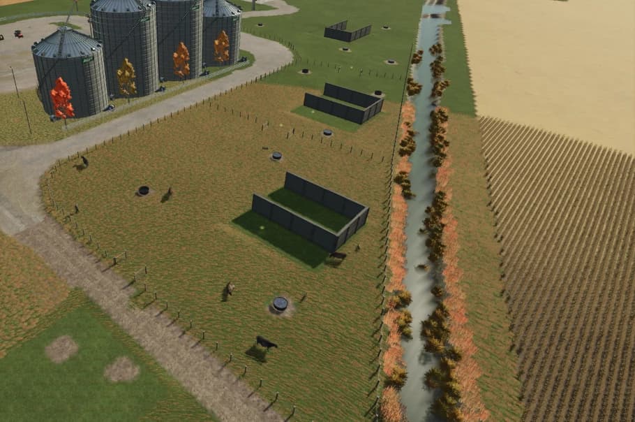 Grazing Pasture 4