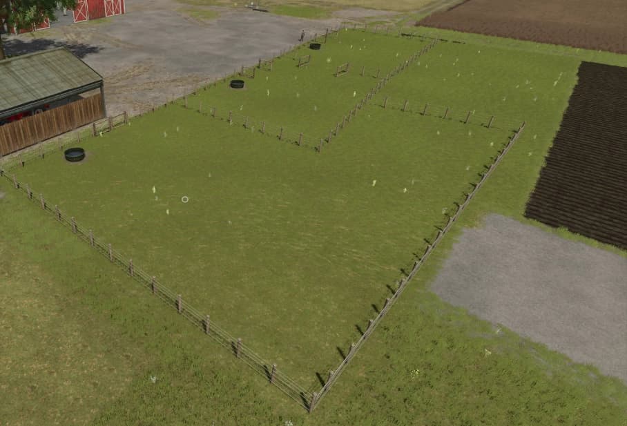 Grazing Pasture 3