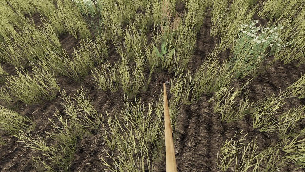 HAND WEEDER