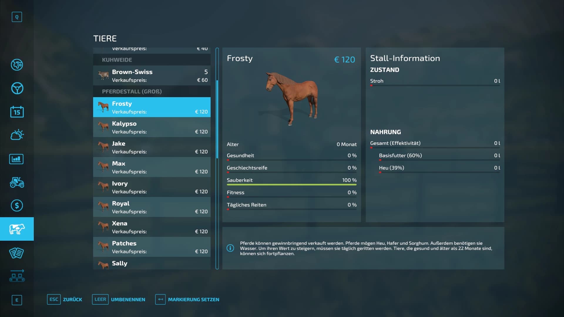 HAPPY HORSE 3