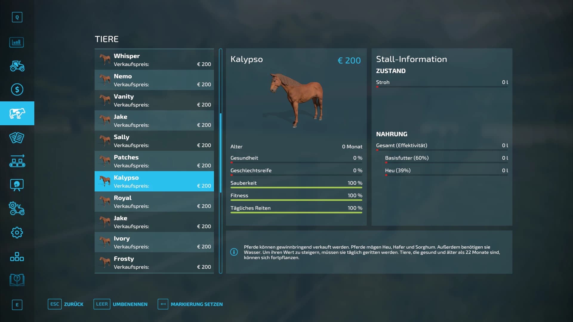 HAPPY HORSE 2