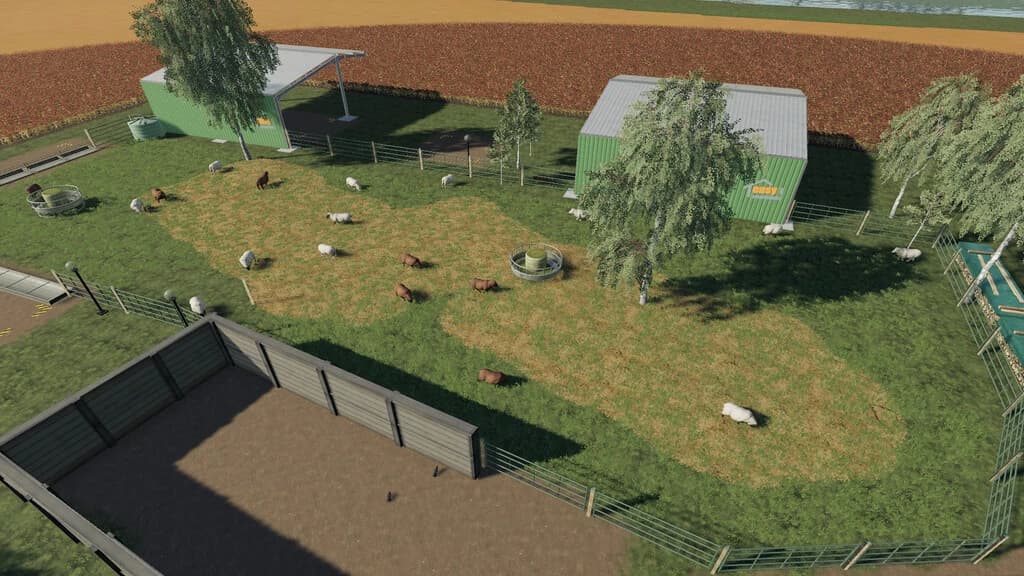 HAPPY SHEEP FARM 4