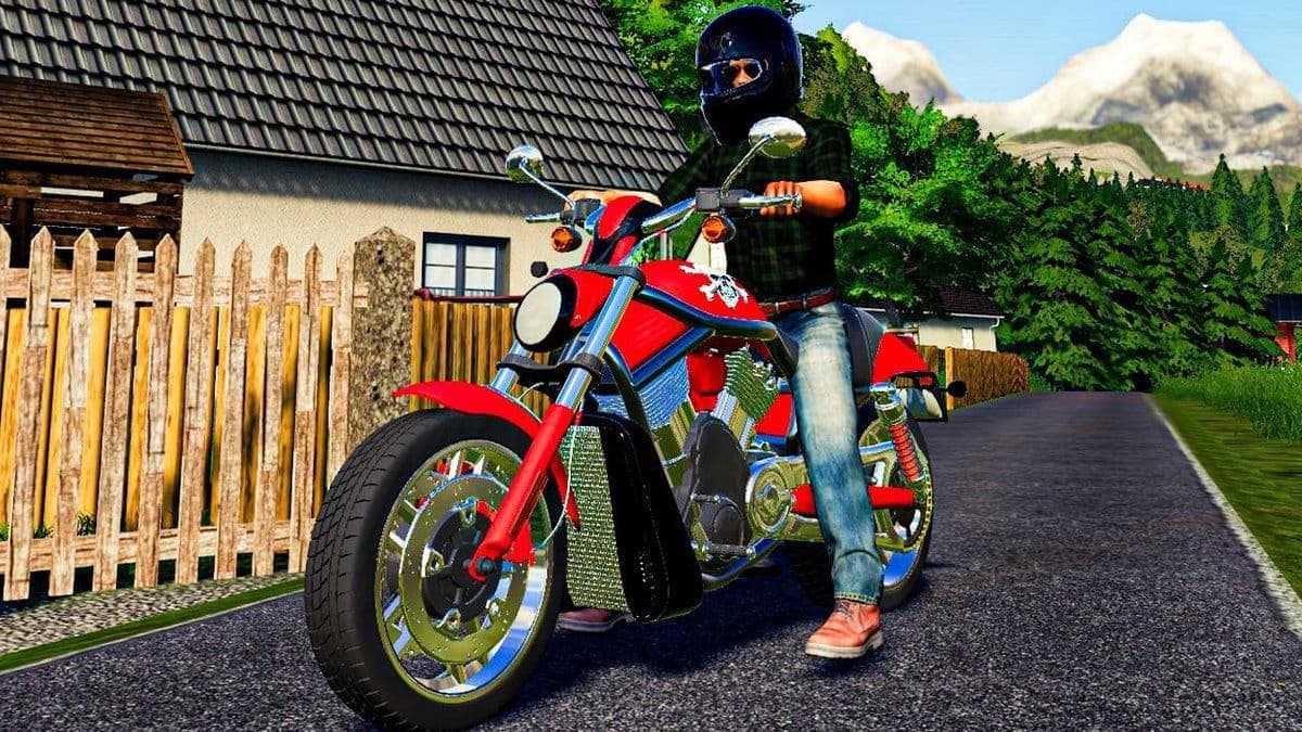 HARLEY DAVIDSON 1100CC 3