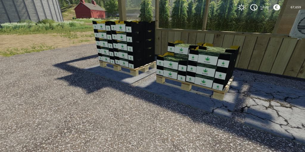 HEMP PRODUCTION