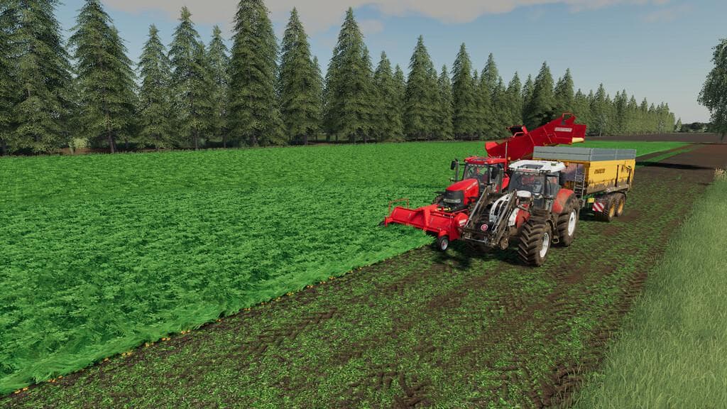 HOLLANDSCHEVELD MAIZEPLUS 3